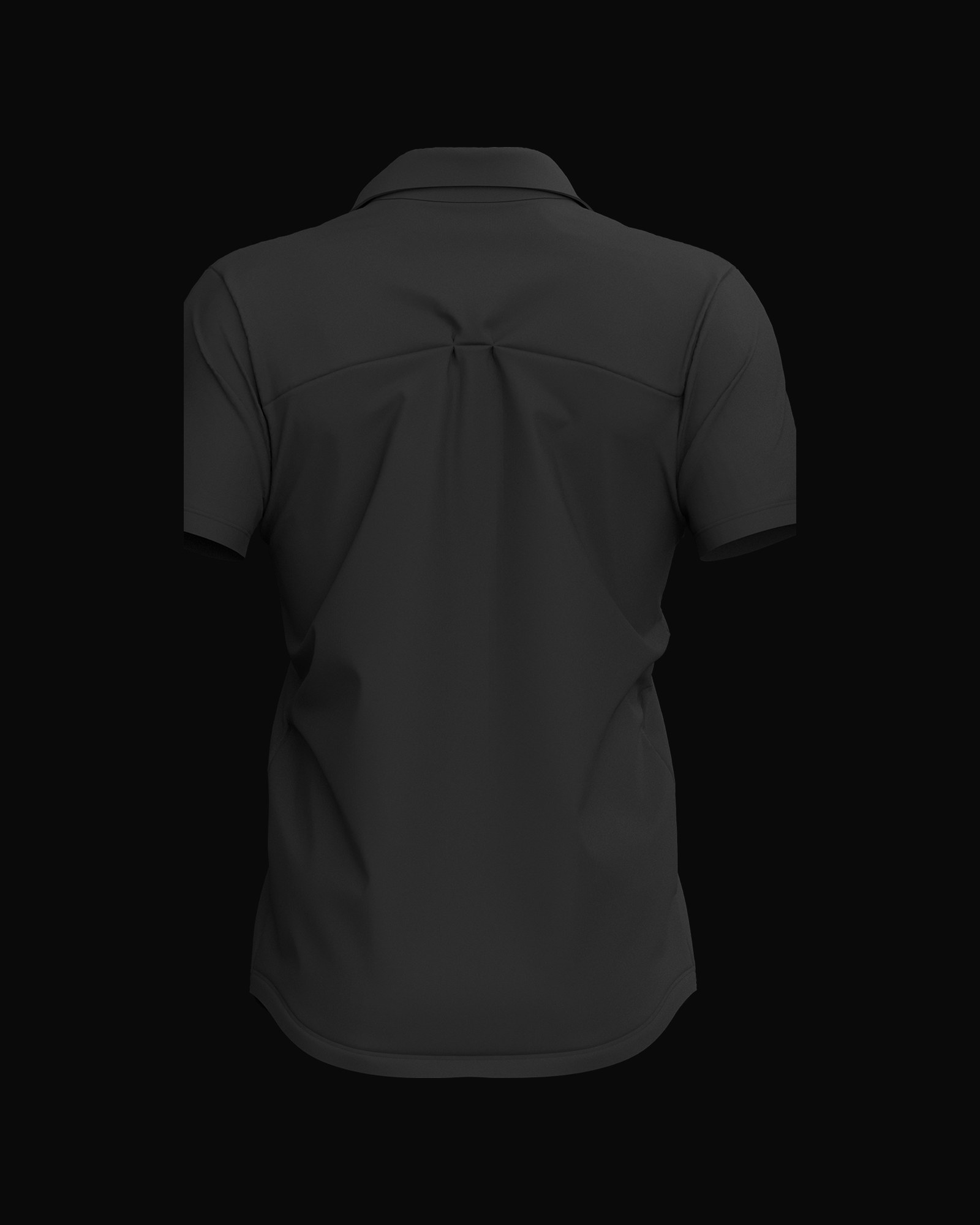 Button Shirt, back view