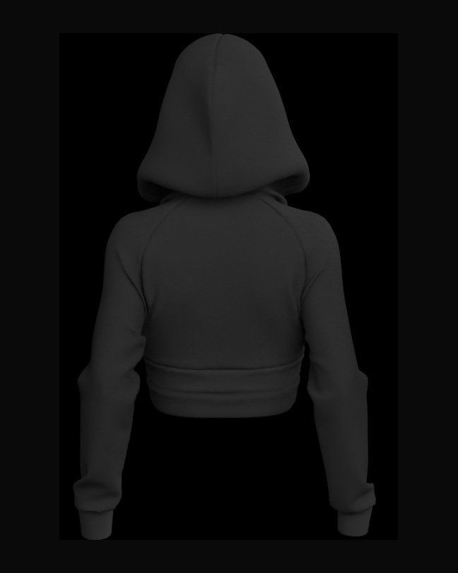 Cropped Hoodie, back view