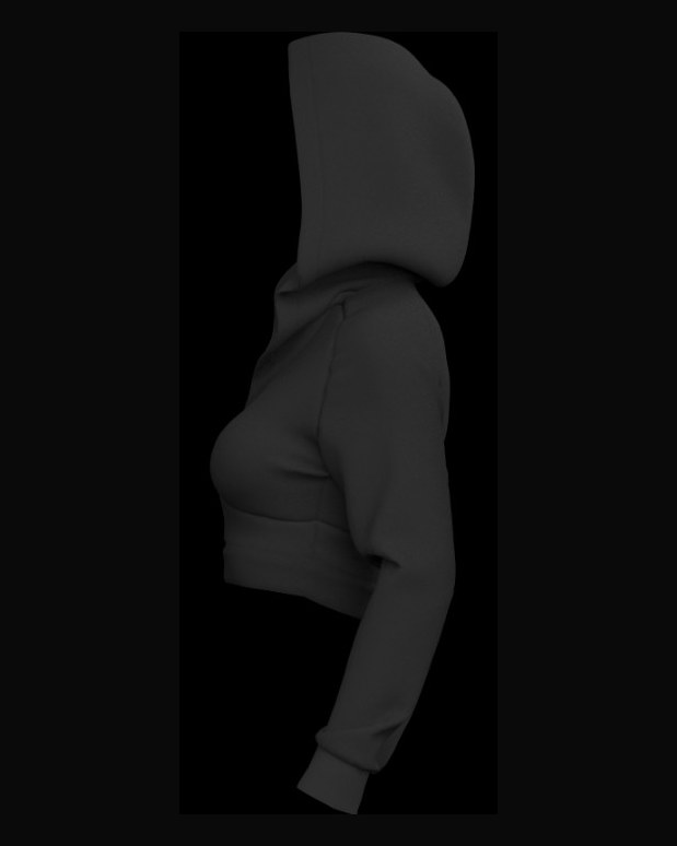 Cropped Hoodie, left side