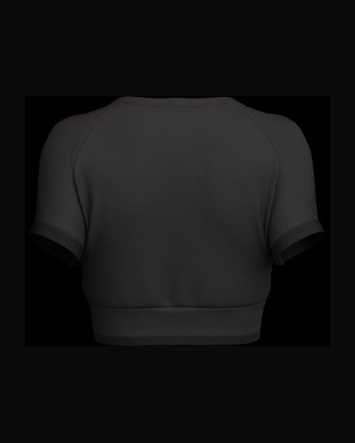 Cropped Tee, back view