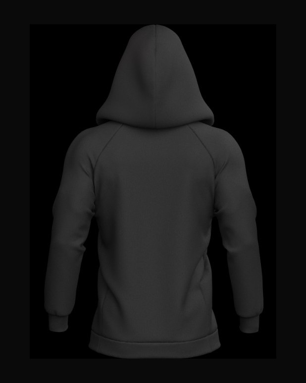 Hoodie, back view